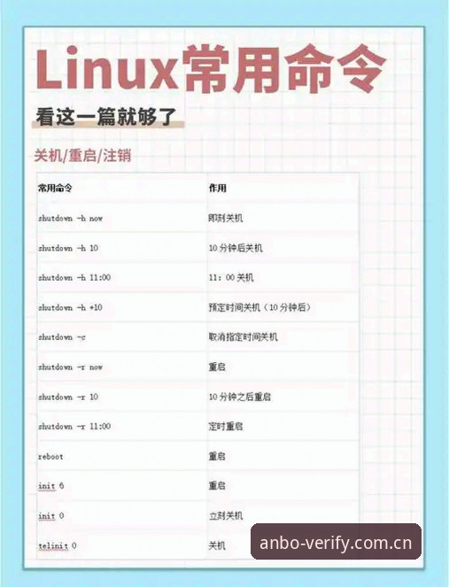 揭秘安博账户操作教程功能详解：从入门到精通的实用指南